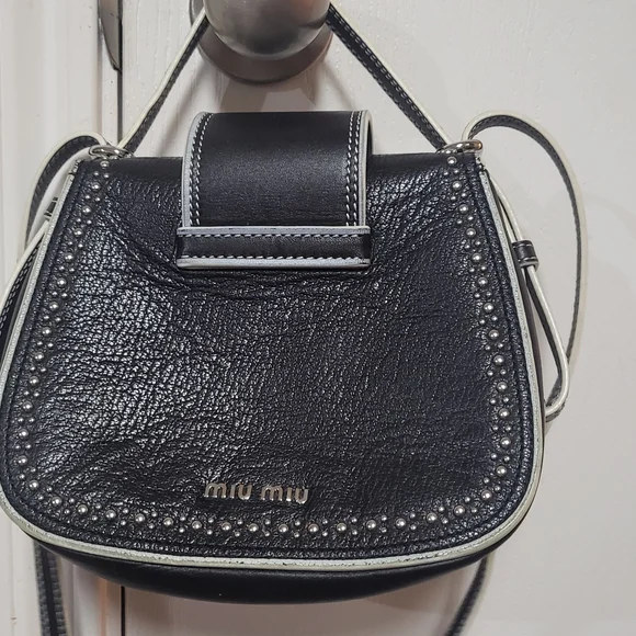 Miu Miu Dahlia Crossbody Bag Small - Picture 2 of 12